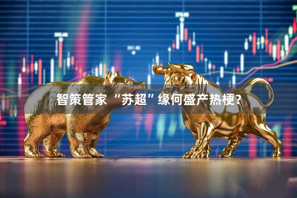 智策管家 “苏超”缘何盛产热梗？