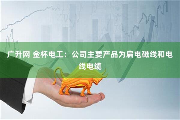 广升网 金杯电工：公司主要产品为扁电磁线和电线电缆
