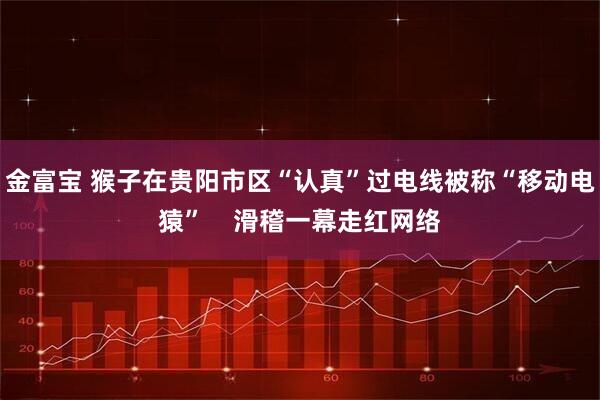 金富宝 猴子在贵阳市区“认真”过电线被称“移动电猿”    滑稽一幕走红网络