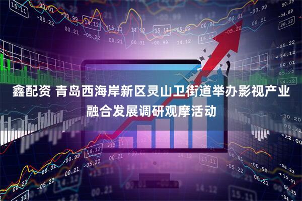 鑫配资 青岛西海岸新区灵山卫街道举办影视产业融合发展调研观摩活动