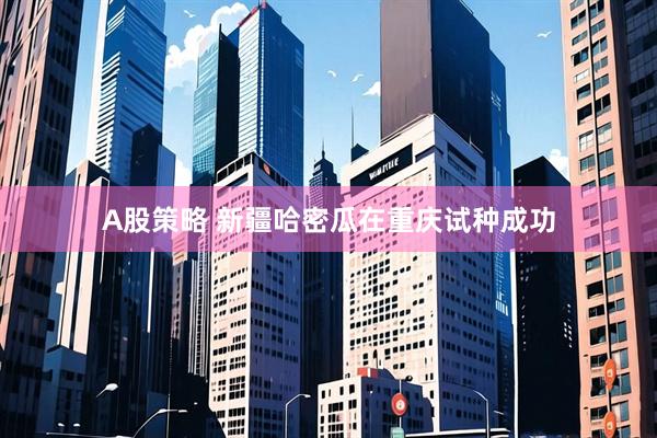 A股策略 新疆哈密瓜在重庆试种成功
