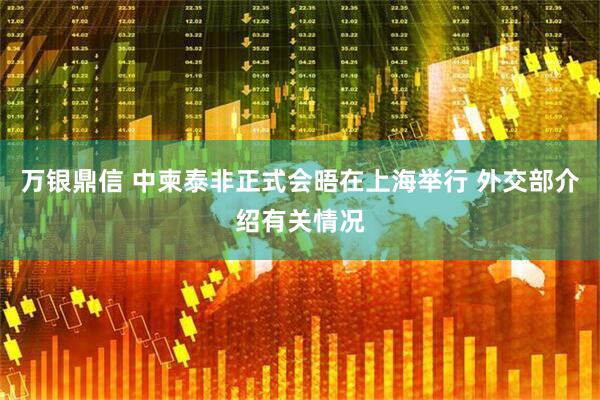 万银鼎信 中柬泰非正式会晤在上海举行 外交部介绍有关情况