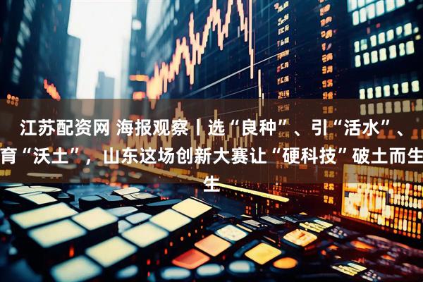 江苏配资网 海报观察丨选“良种”、引“活水”、育“沃土”，山东这场创新大赛让“硬科技”破土而生