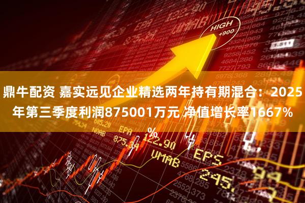 鼎牛配资 嘉实远见企业精选两年持有期混合：2025年第三季度利润875001万元 净值增长率1667%